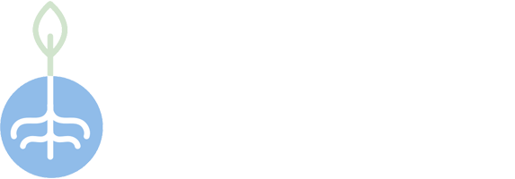 Manglar Academy